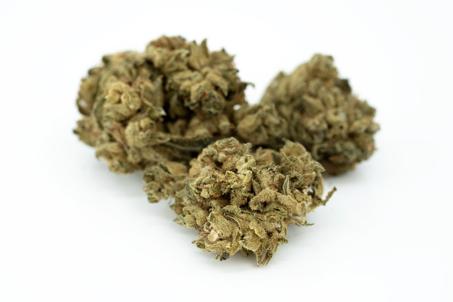 tilray-thc-22-spotlight-porto-iss-masse