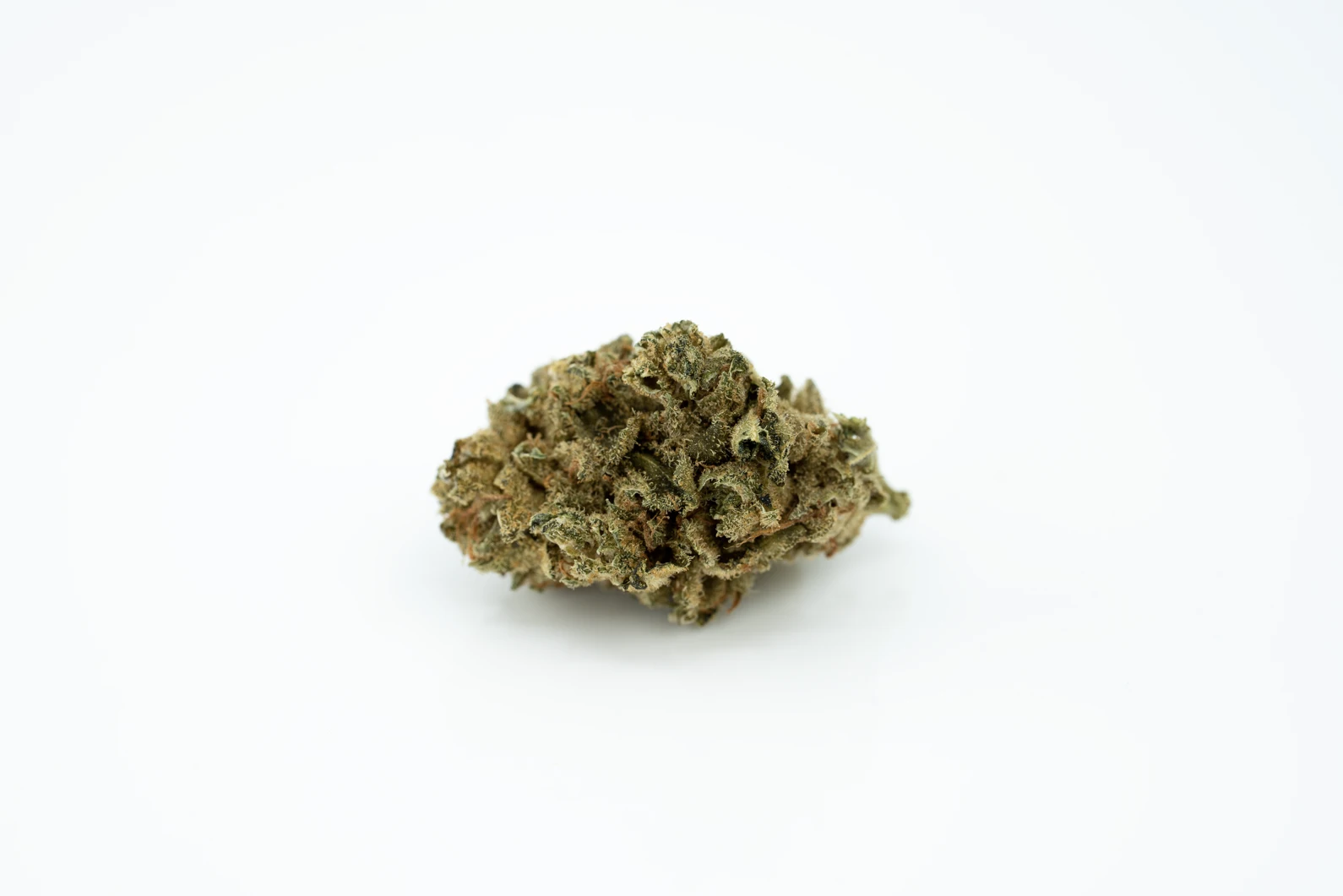tilray-thc-22-spotlight-porto-iss