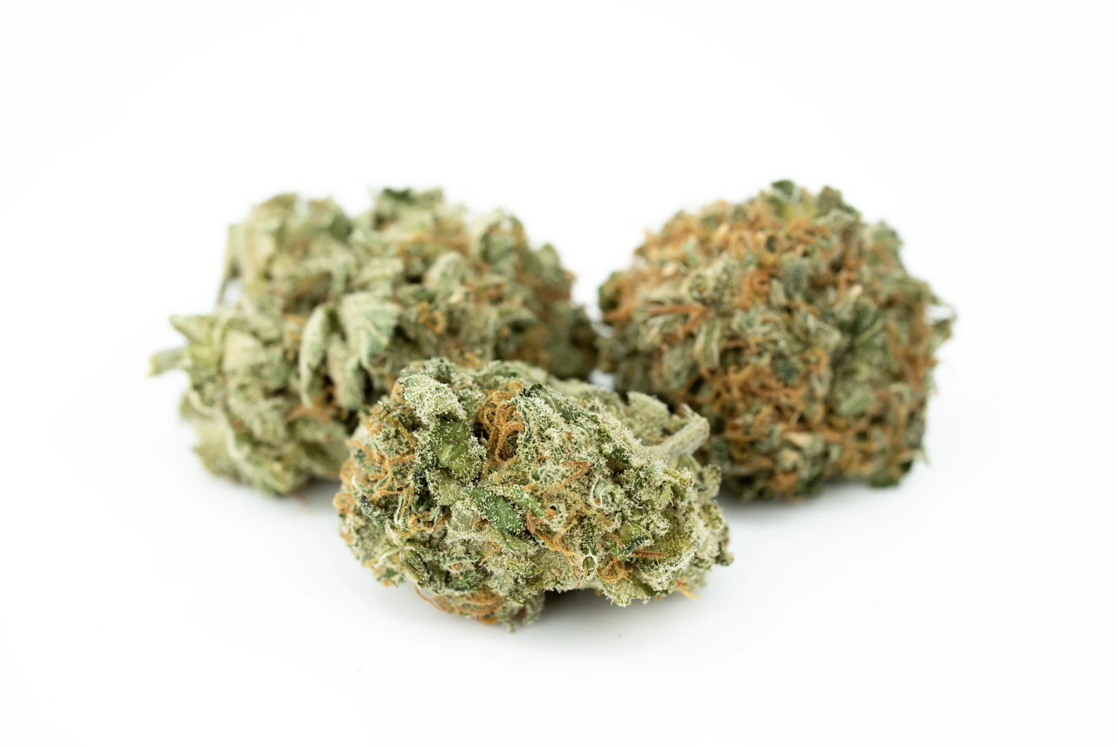 tilray-thc-22-spotlight-porto-jh-masse