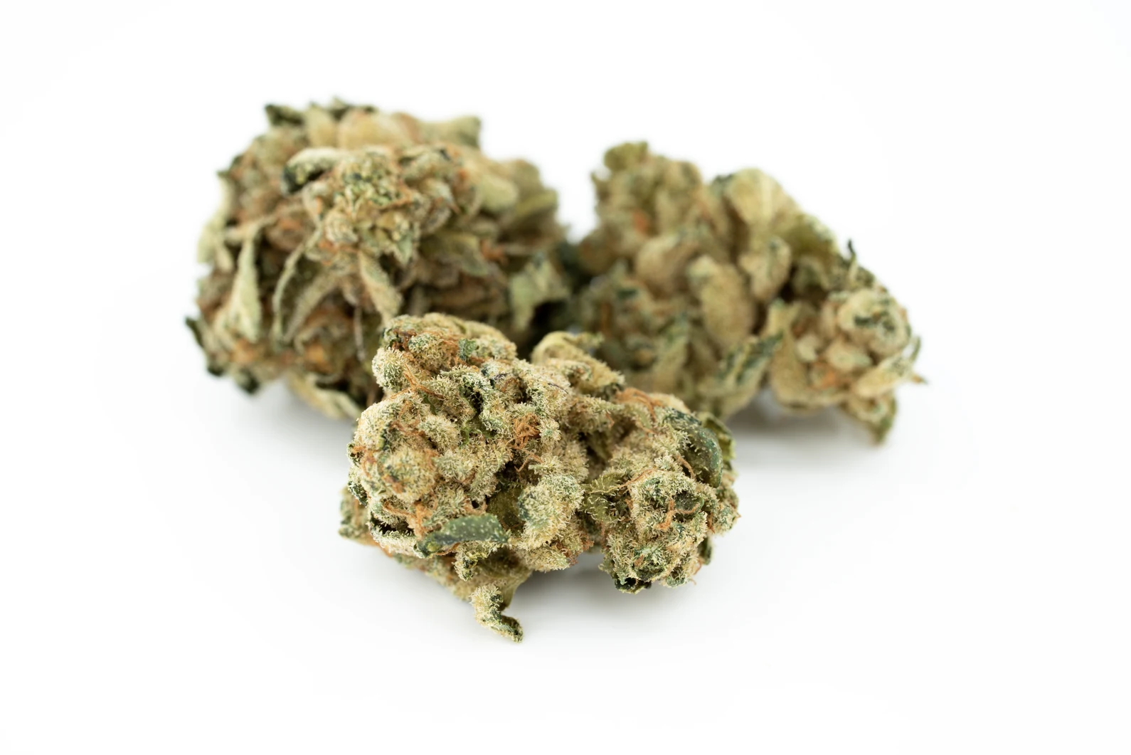tilray-thc-22-spotlight-porto-pk-masse