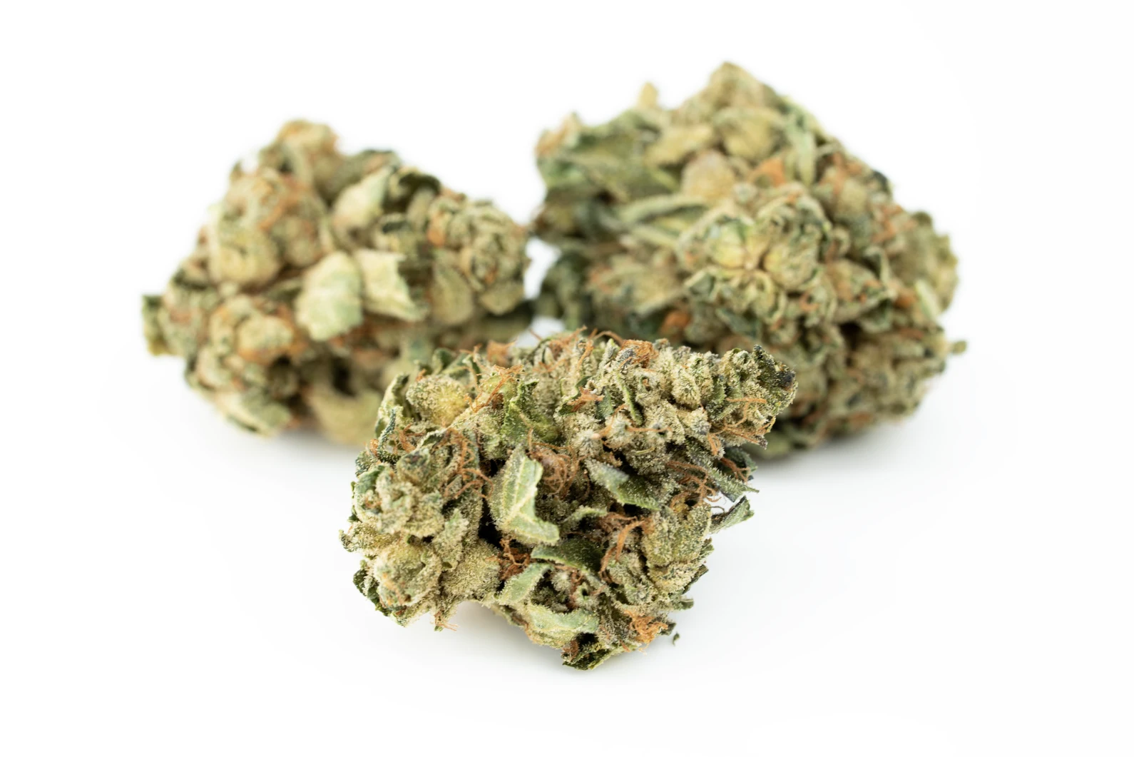 tilray-thc-22-spotlight-porto-rs-masse
