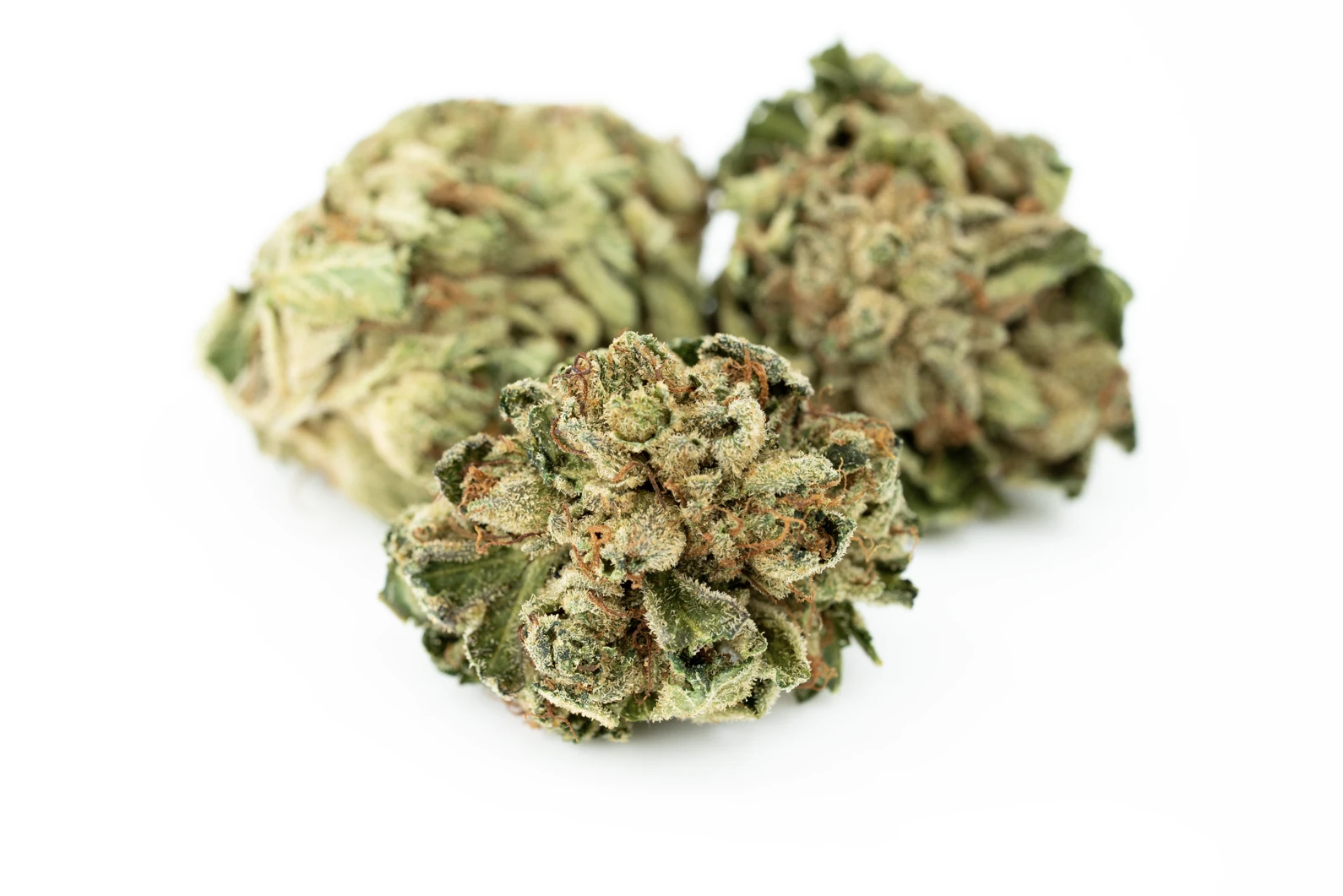 tilray-thc-25-sativa-no2-hb-masse