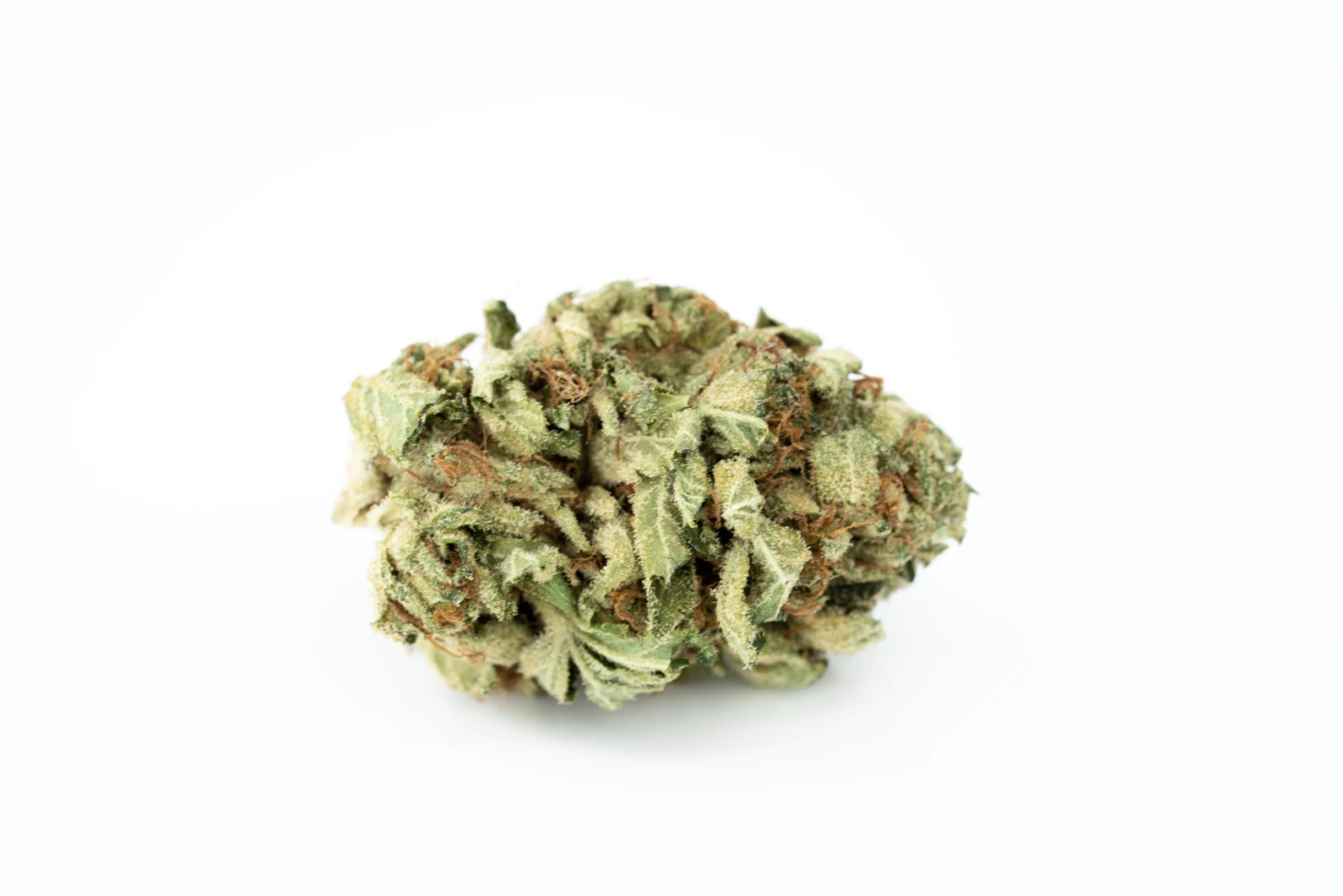 Produkte - Tilray THC25 Sativa No.2