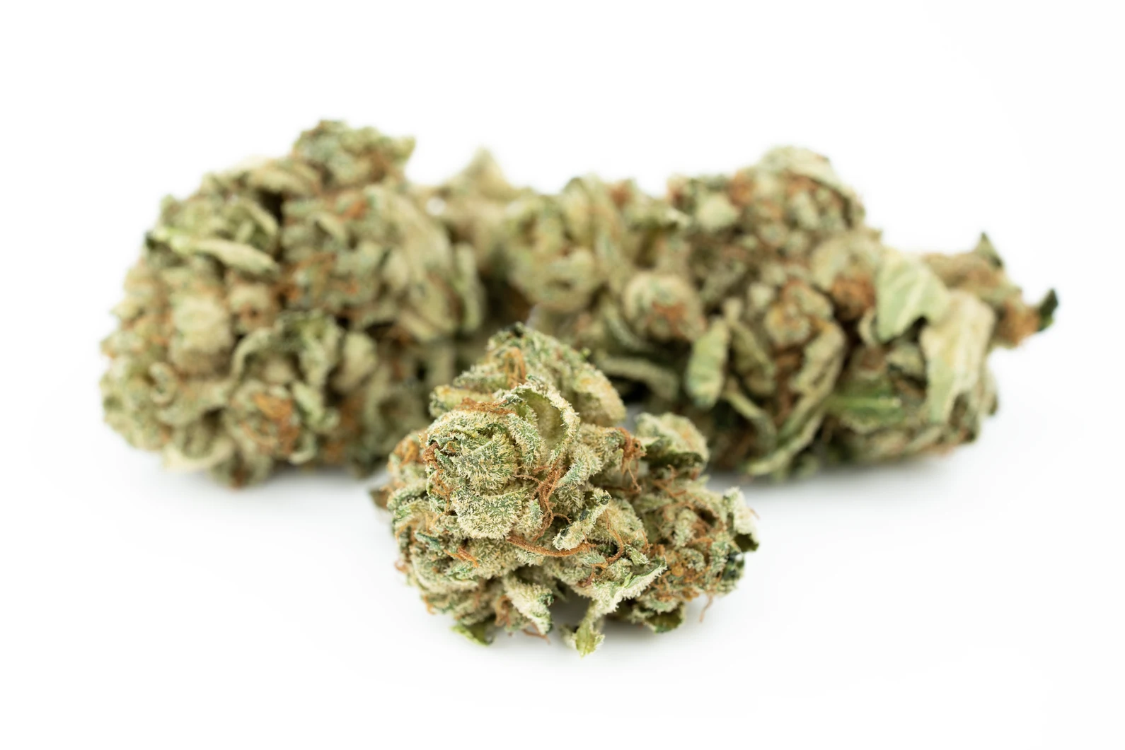 tilray-thc-25-spotlight-porto-pk-masse