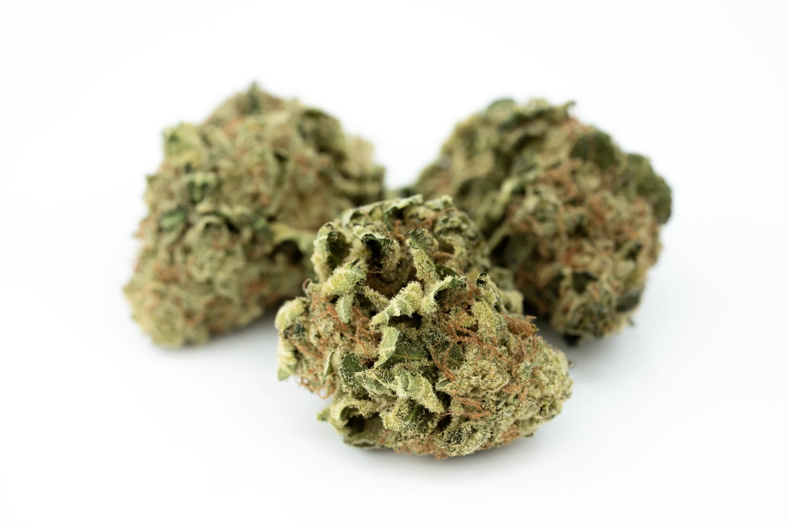 tilray-thc-25-spotlight-porto-ww-masse